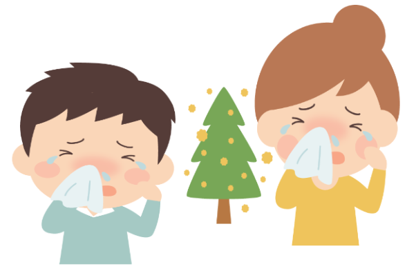 日本の国民病！？花粉症と上手に付き合いましょう【アレルギー性鼻炎のお話】